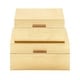 preview thumbnail 3 of 23, CosmoLiving by Cosmopolitan Set of 2 Gold Wood Glam Box - S/2 11", 13"W
