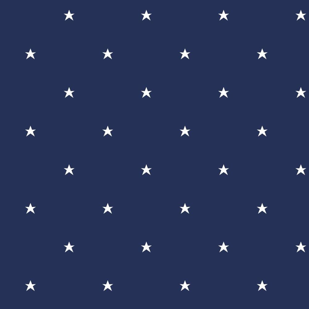 Shop York Wallcoverings Bs5479 Room To Grow Stars Wallpaper Dark
