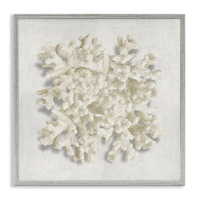Stupell Aquatic Neutral Coral Framed Giclee Art Design By Caroline Kelly - 17 x 17 - Grey