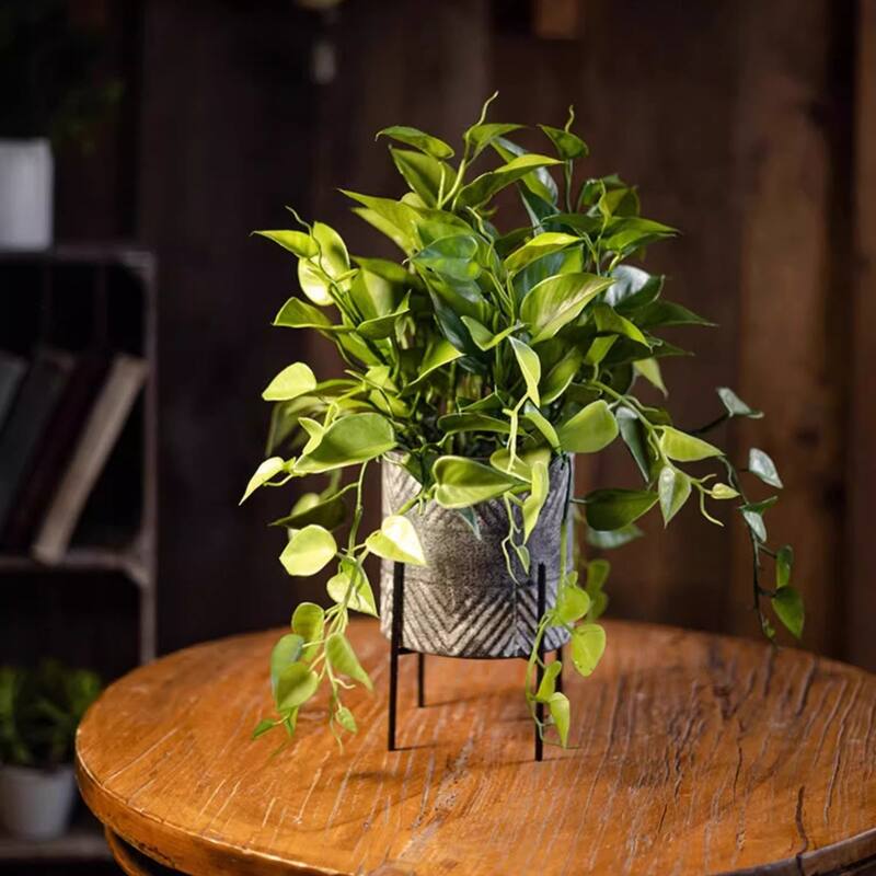 RusticReach Faux Epipremnum in Metal Pot