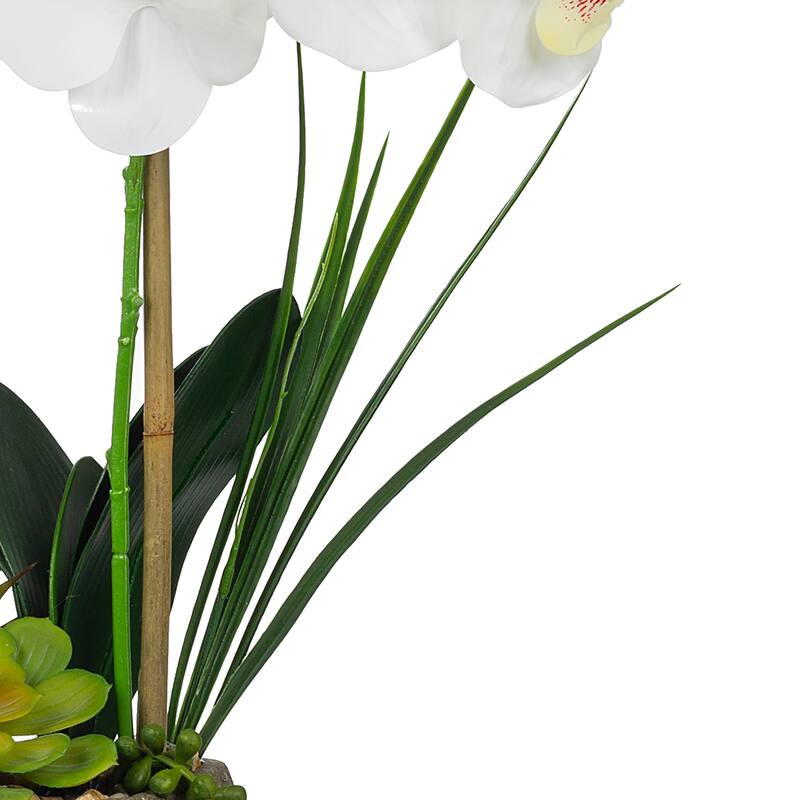 2 Stems Real Touch Phalaenopsis Plastic Orchids with Succulents in Pot - 23.23" H x 20.08" W x 10.04" D