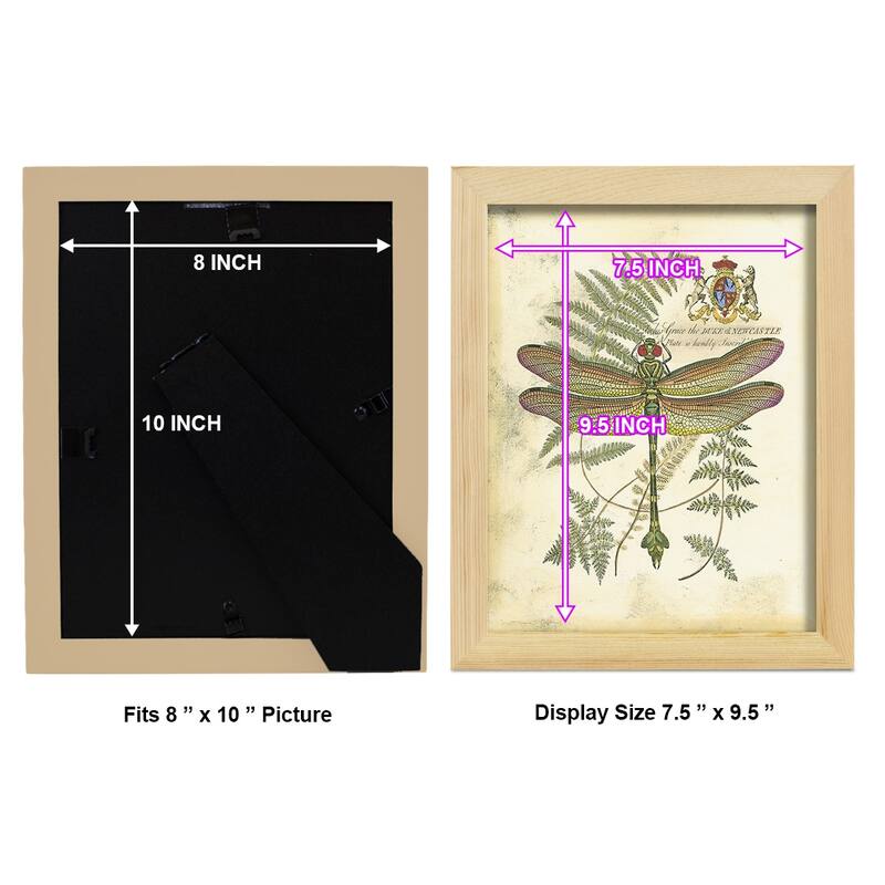 Regal Dragonfly III (PP) -Framed Print w/glass-Cherry Red