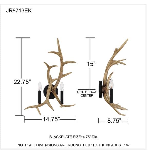 Journey 2-Light Earth Black Wall Sconce