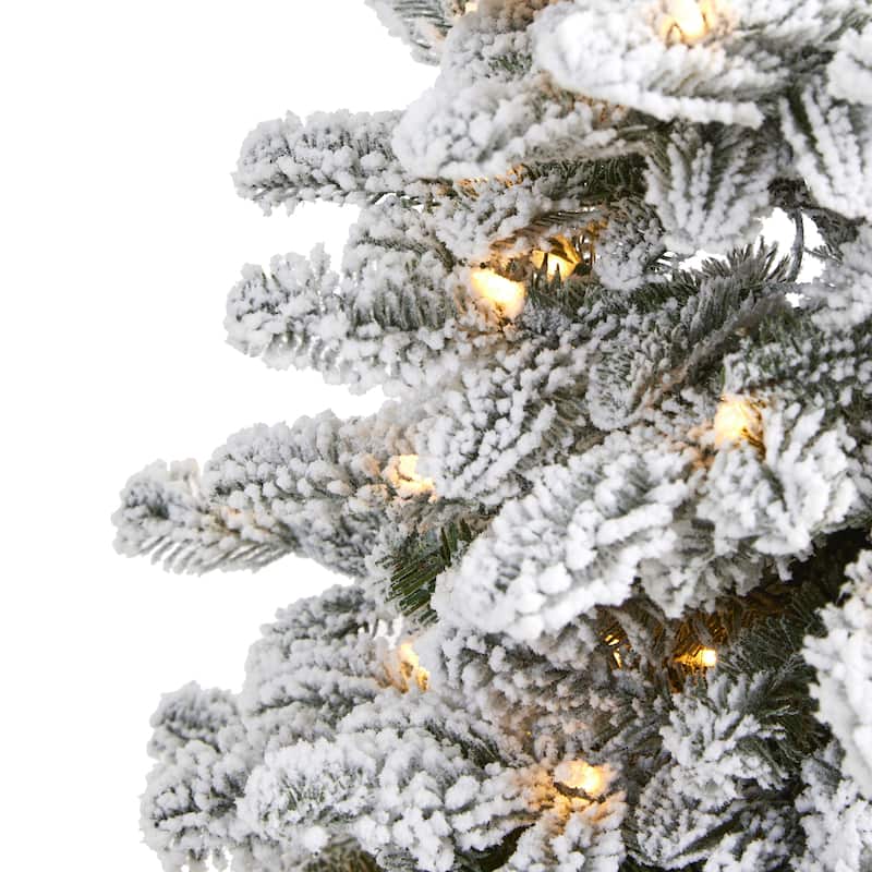 3' Flocked North Carolina Fir Christmas Tree with 150 Lights - Green