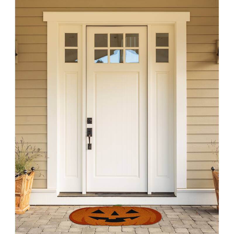 DII Seasonal Coir Doormat