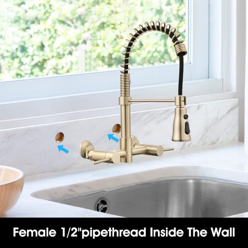Dornberg Wall Mounted Pull Down Bridge Kitchen Faucet