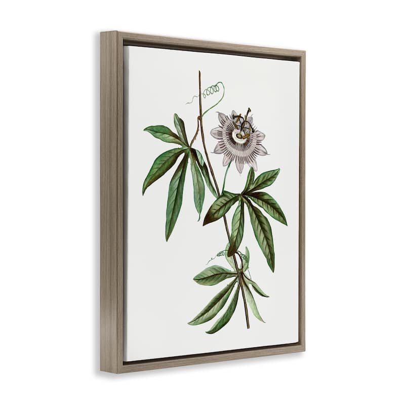 Stupell Vintage Circular Bloom Framed Floater Canvas Wall Art Design By CAD Designs