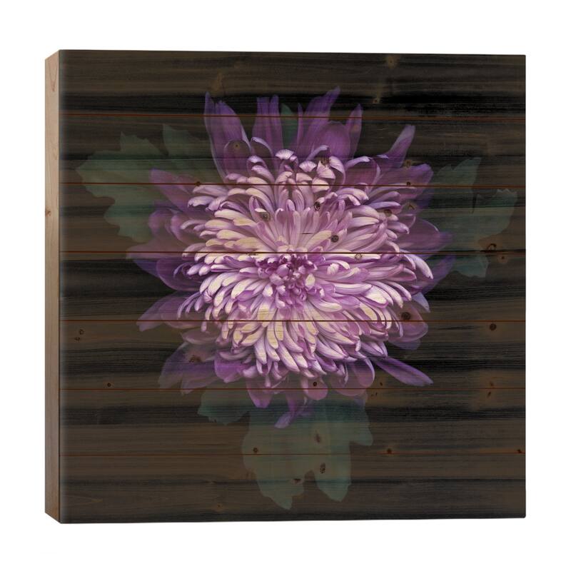 Delicious Chrysanthemum Print On Wood by Magda Indigo - Multi-Color - 26x26x1.5