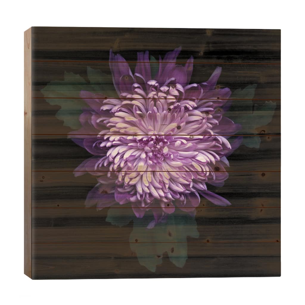 Delicious Chrysanthemum Print On Wood by Magda Indigo - Multi-Color