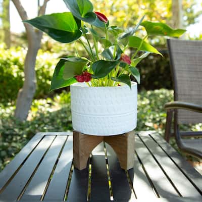 Mid-Century 7" PHARAOH Ceramic Planter on Stand