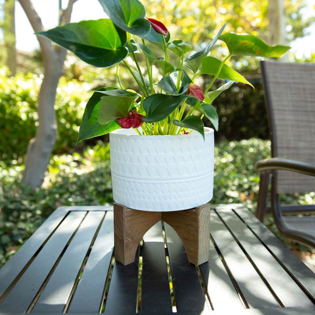 Mid-Century 7" PHARAOH Ceramic Planter on Stand