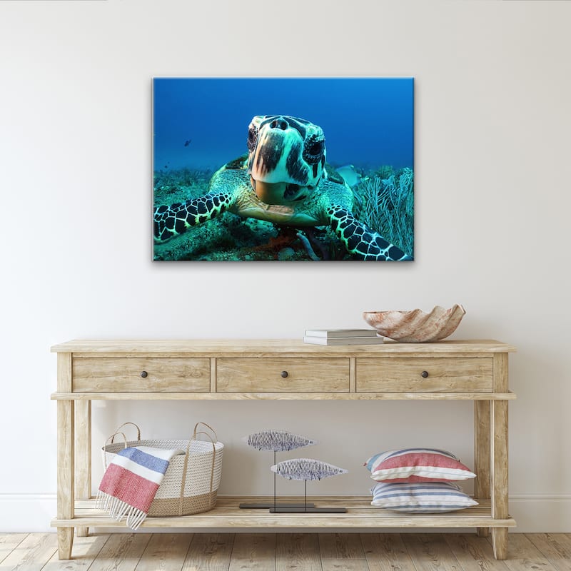 Ready2HangArt 'Turtle' Wrapped Canvas Wall Art