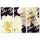 preview thumbnail 2 of 3, Oliver Gal 'Coco's Camellia Vanilla triptych' Fashion and Glam Wall Art Canvas Print Set - White, Yellow
