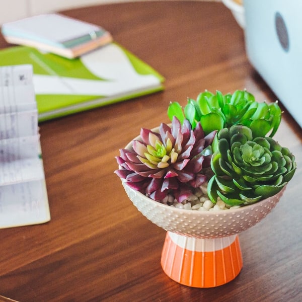 https://ak1.ostkcdn.com/images/products/is/images/direct/21c8858e94a6125d7d6904a571810bc6b6c214f4/Artificial-Plant-Succulent-Mix-in-Two-Tone-Bowl-Ceramic-Planter.jpg?impolicy=medium