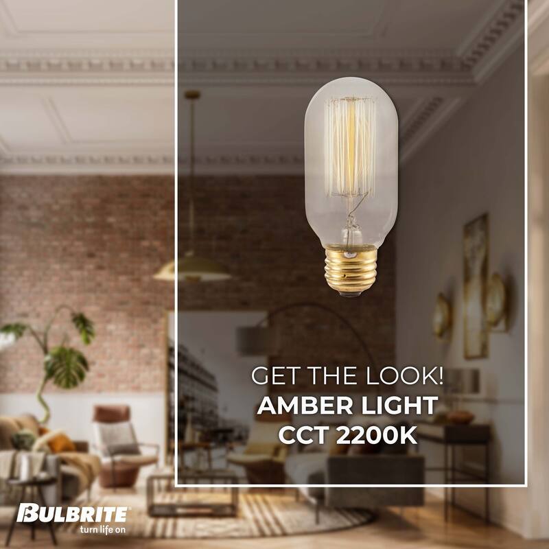 Bulbrite Pack of (4) Dimmable Antique Nostalgic Filament Incandescent Bulb