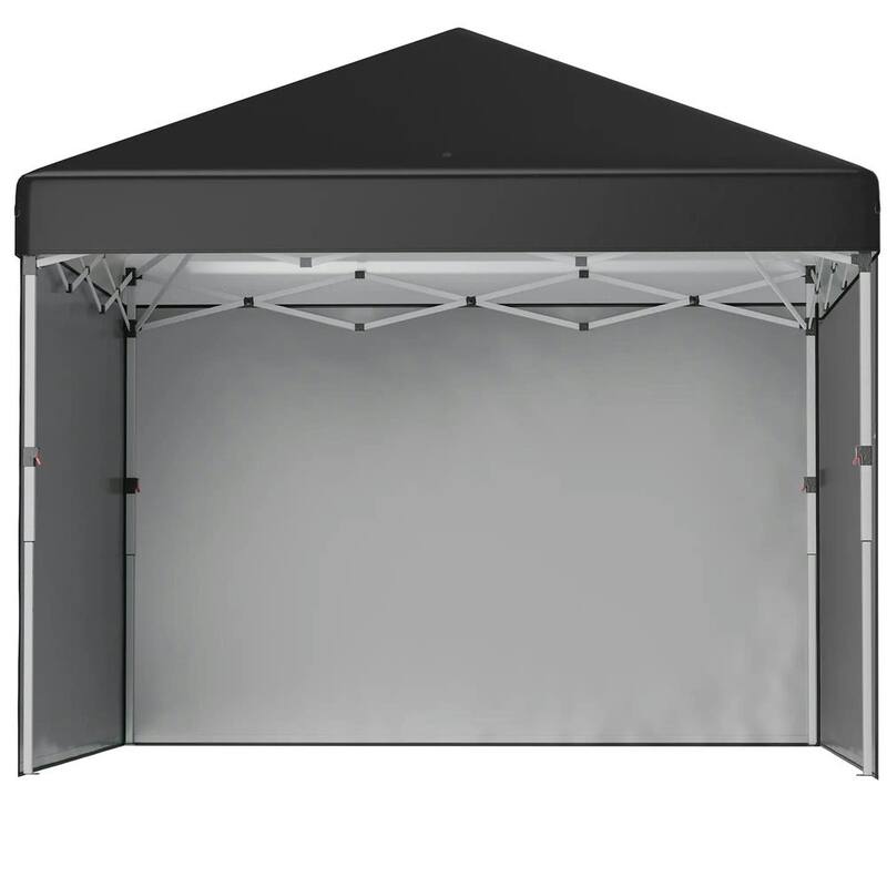 10'x10' Pop Up Canopy Tent with 3 Sidewalls,Leg Weight Bags,Carry Bag