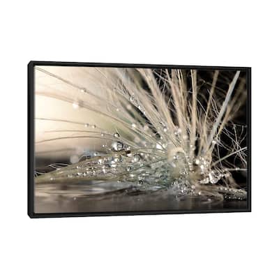 iCanvas "Pearls" by Maryam Zahirimehr Framed Canvas Print