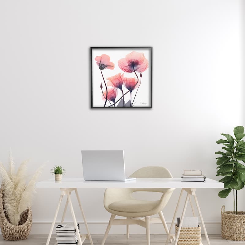 Stupell Elegant Modern Poppy Buds Framed Giclee Art Design By Albert Koetsier