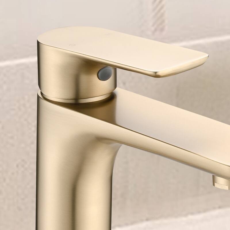 Topcraft Single Handle Stainless Steel Bathroom Sink Faucet