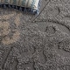 preview thumbnail 54 of 79, SAFAVIEH Florida Shag Hilde Floral 1.2-inch Thick Rug