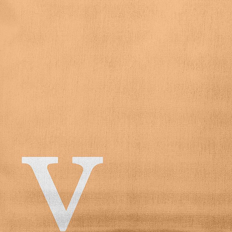 Modern Monogram Indoor/Outdoor Throw Pillow-V