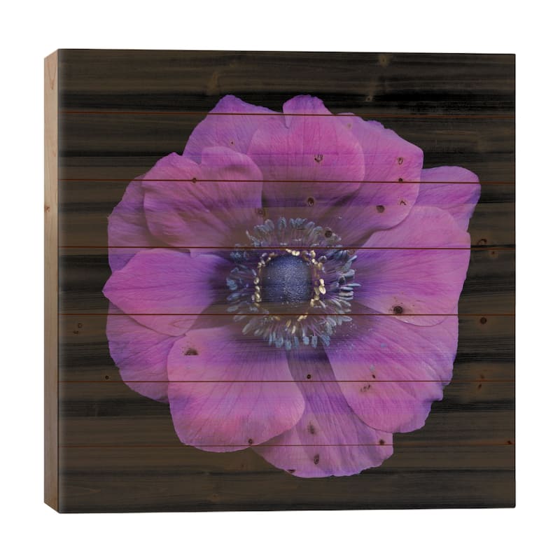 Vivace Print On Wood by Magda Indigo - Multi-Color - 26x26x1.5
