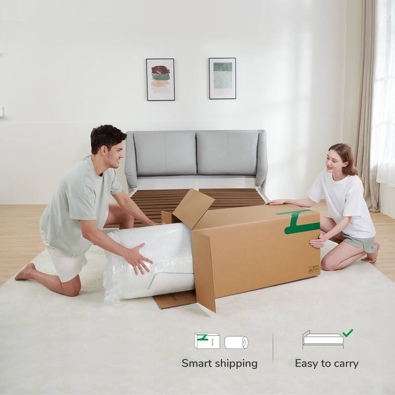 Novilla 10-inch Memory Foam Hybrid Pocket Spring Mattress in a Box
