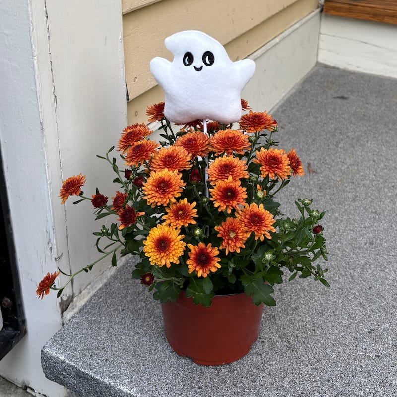 4" Halloween Ghost on a 8" Floral Pick, Set of 6