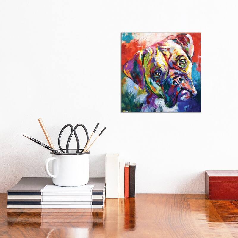 iCanvas "Boxer" by Jos Coufreur Canvas Print - 12x12x1.5