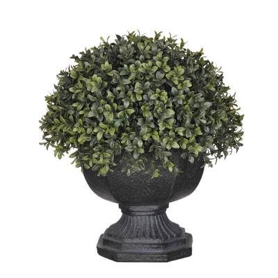 Faux Half-Ball Boxwood Topiary in Garden Urn