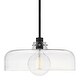 preview thumbnail 1 of 1, Lark 83497 Maisie 15" Wide Pendant with Clear Glass Shade Black