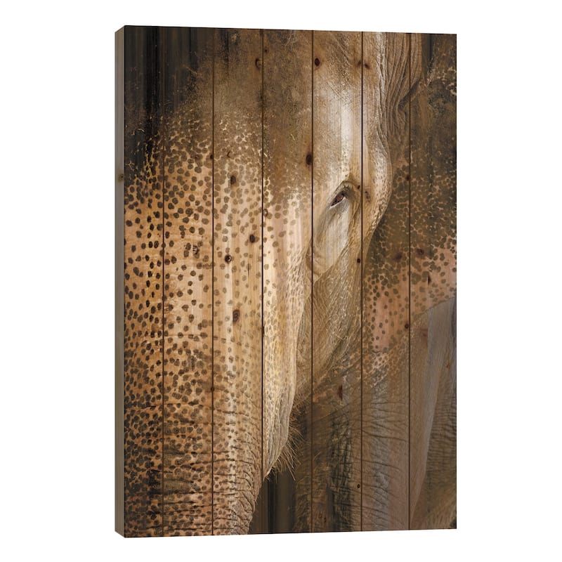 Indian Elephant Print On Wood by Beth Sheridan - Multi-Color - 26x18x1.5