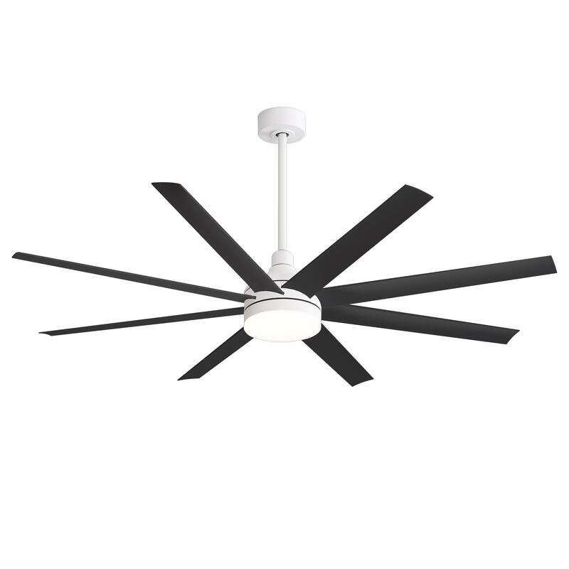 65 Inch LED Black and White Ceiling Fan with Light Remote- 8 Blade