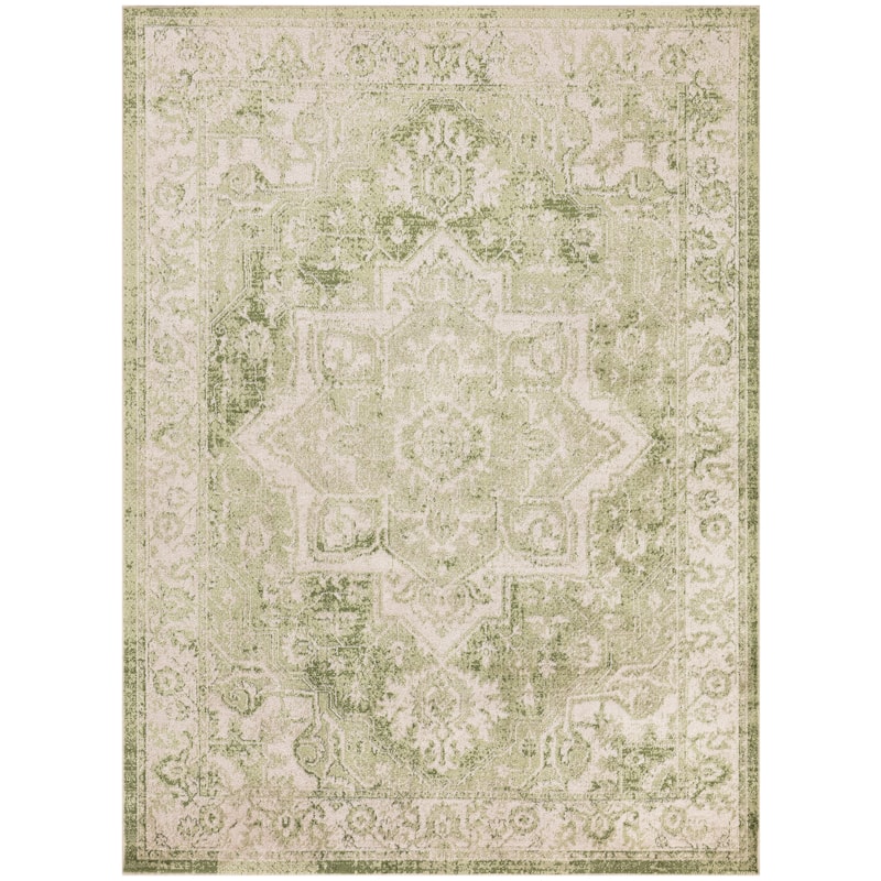Nourison Astra Machine Washable Distressed Area Rug - 4' x 6' - Ivory/Green