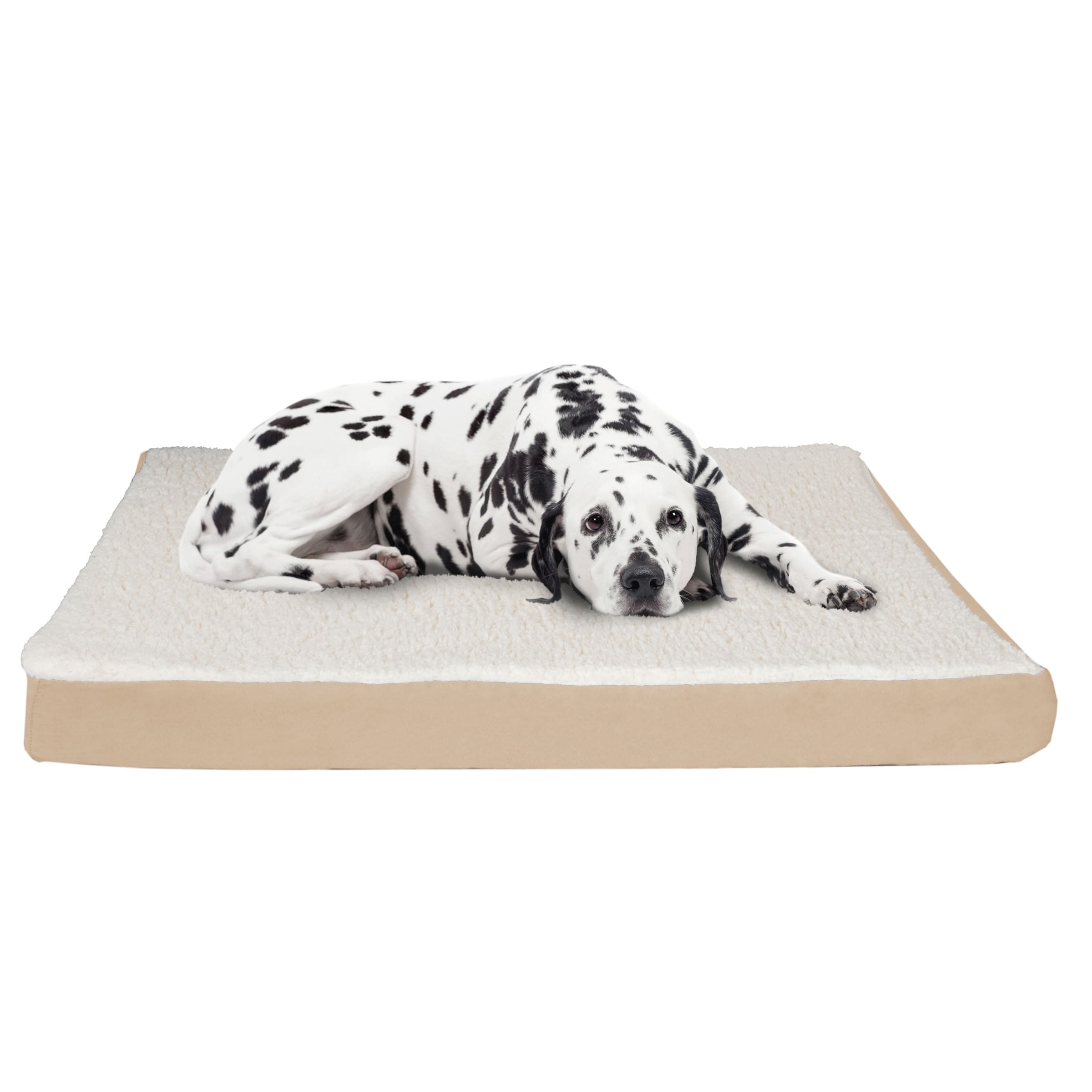 Bed bath and beyond dog top