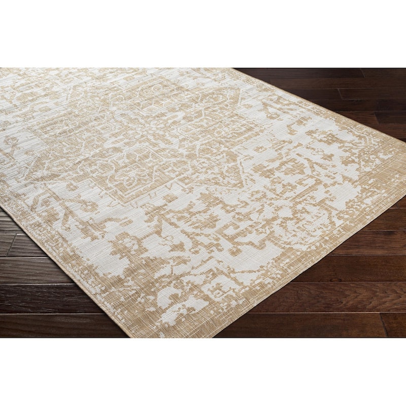 Livabliss Eagean Updated Traditional Medallion Indoor / OutdoorArea Rug
