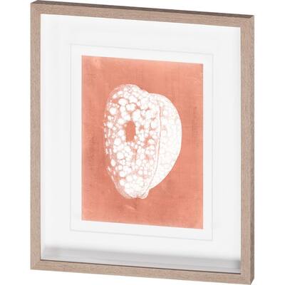 Sealife on Coral III Framed Art Print
