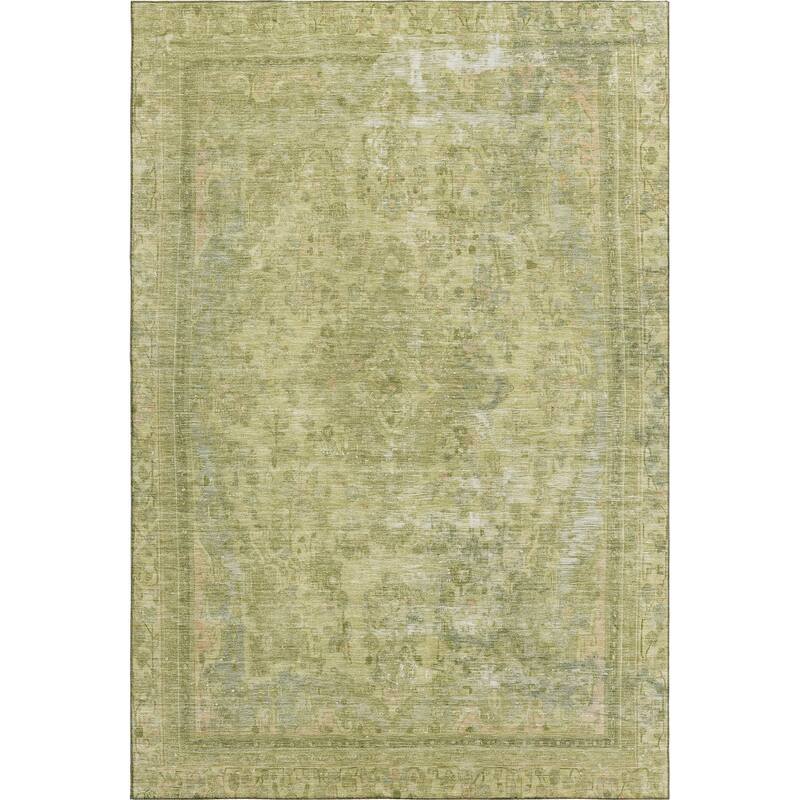 Premium Washable Super Soft Vintage Traditional Mayfield Rug