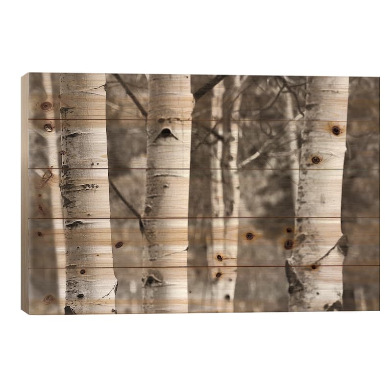 Aspens IV Print On Wood by Debra Van Swearingen - Multi-Color - 18x26x1.5