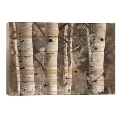 Aspens IV Print On Wood by Debra Van Swearingen - Multi-Color