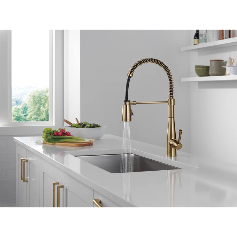 Delta 9613-DST Essa 1.8 GPM Single Hole Pre-Rinse Pull Down Kitchen