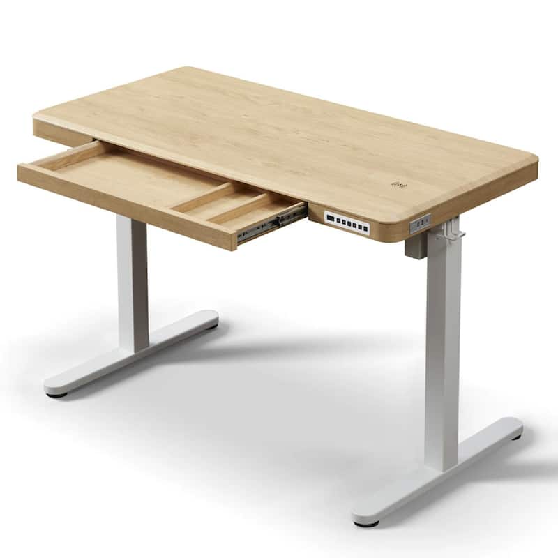 KOWO K3101 48 Inch Electric Standing Desk with Drawers Height Adjustable Sit to Stand Workstation, Motorized Home Office Desk
