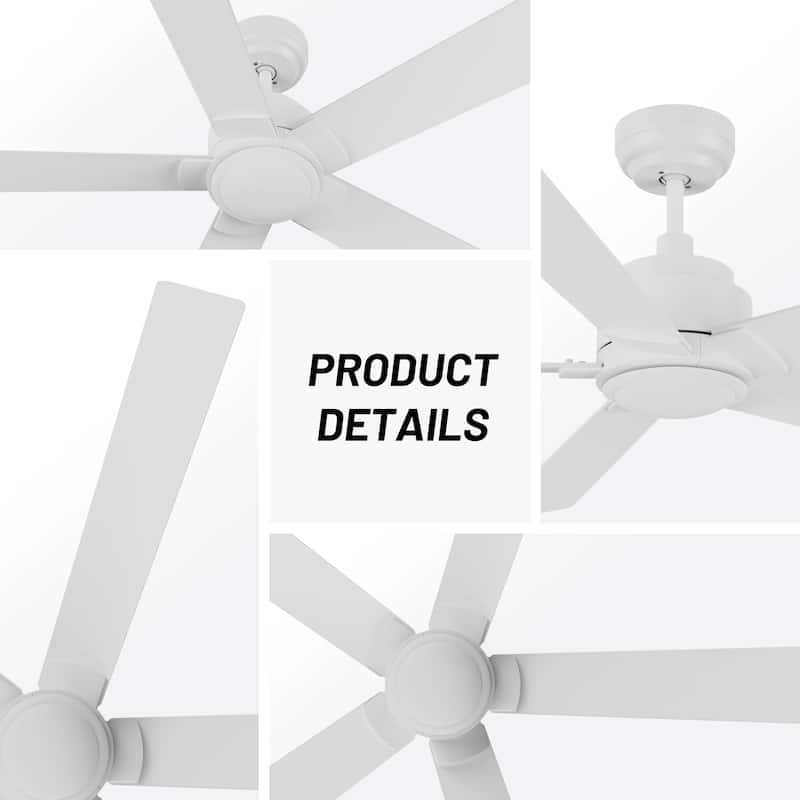 CARRO Bijou 60" 5-Blade Indoor Ceiling Fan with Remote-Downrod-White - N/A