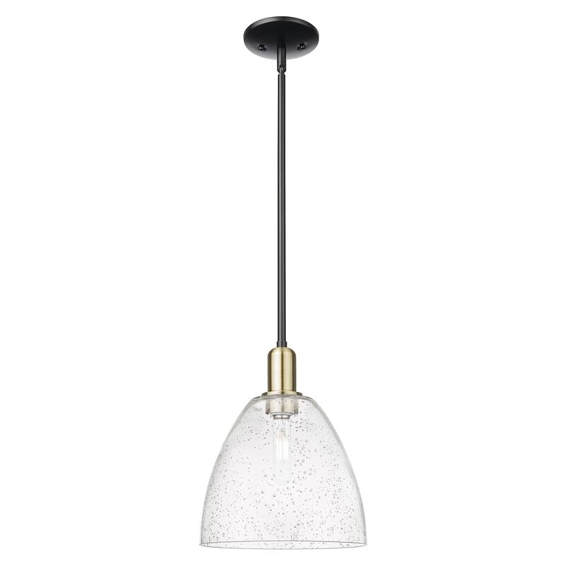 Innovations Lighting Endless Possibilities Arcadia - Bristol - 1 Light 9" Stem Hung Mini Pendant - Black Antique Brass/Seedy