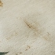 preview thumbnail 4 of 22, Premium Washable Super Soft Pine Tree Mayfield Rug
