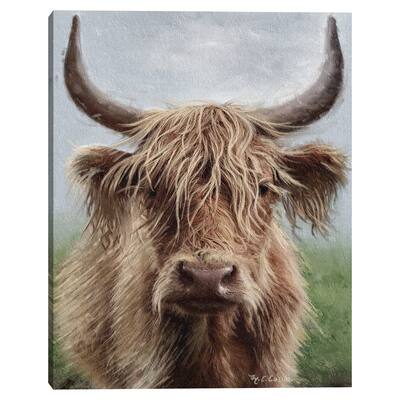 Highland Portrait II by Marie Elaine Cusson Canvas Art Print