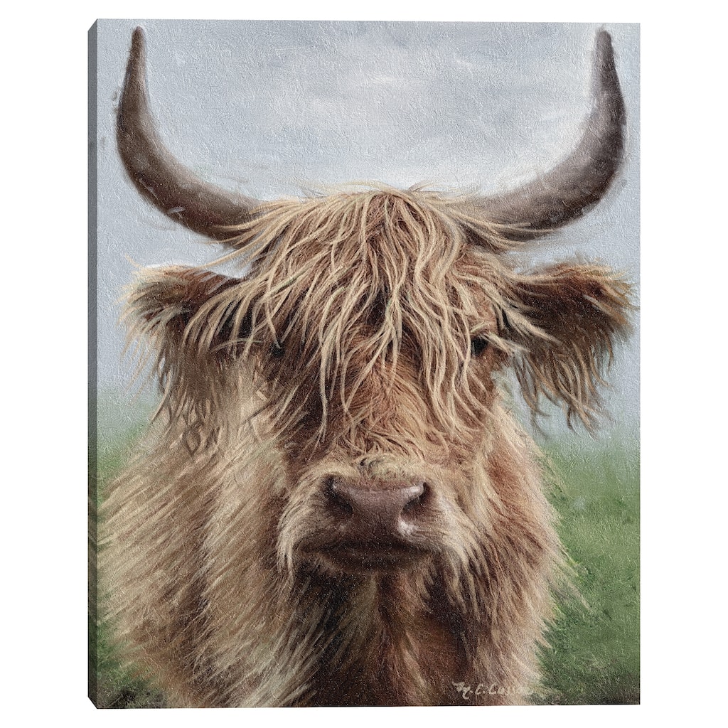 Highland Portrait II by Marie Elaine Cusson Canvas Art Print
