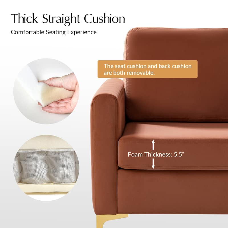 Ganymedes Modern Velvet Accent Arm Chair with Golden Legs and Removable Cushion by HULALA HOME