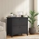 preview thumbnail 1 of 7, Bush Home Salinas 2 Drawer Lateral File Cabinet Vintage Black - Letter