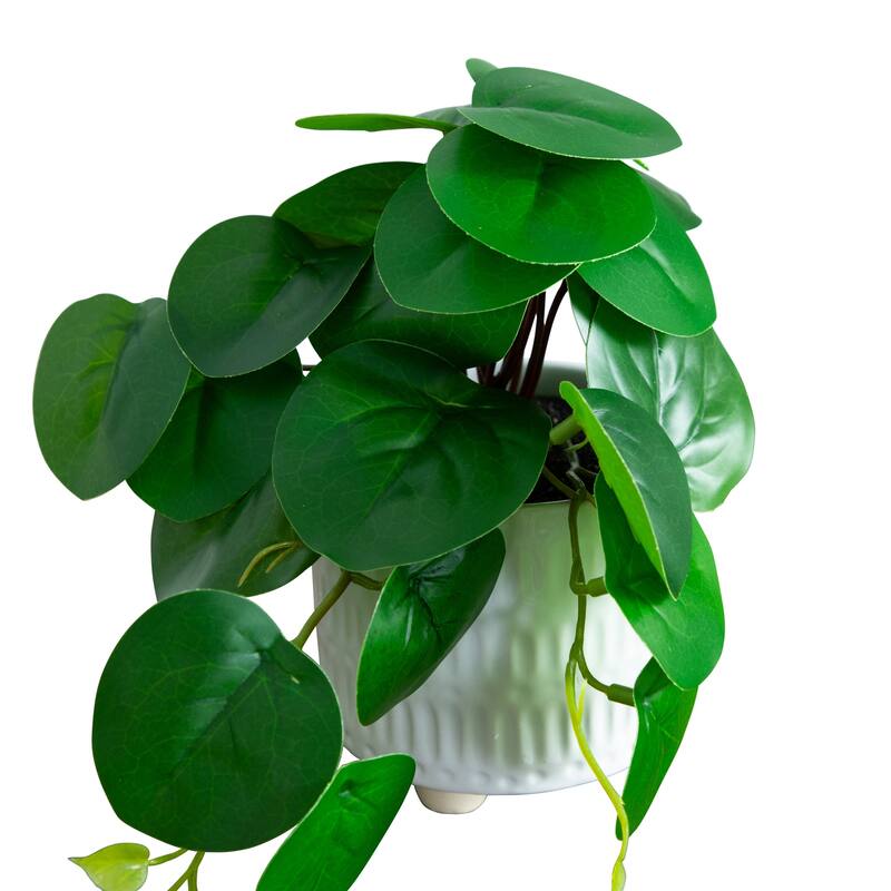 Mixed Artificial Plants with Ceramic Planter - 8' - Green - Set of 3